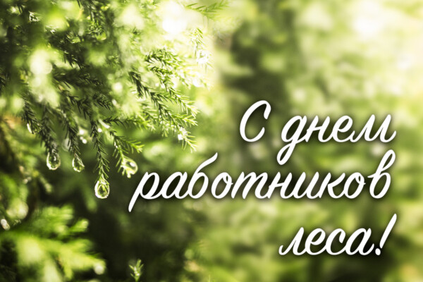 Поздравление руководства района с Днем работников леса