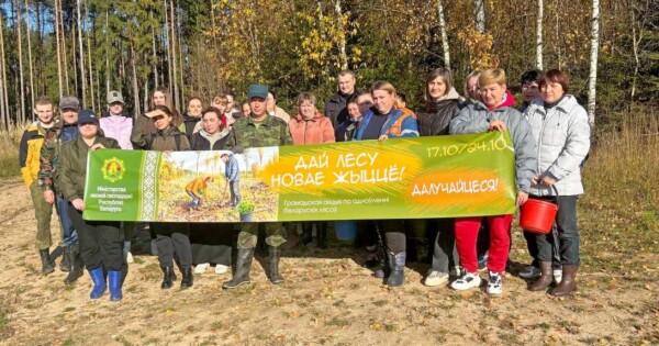 Шкловчане активно принимают участие в акции «Дай лесу новае жыццё!»