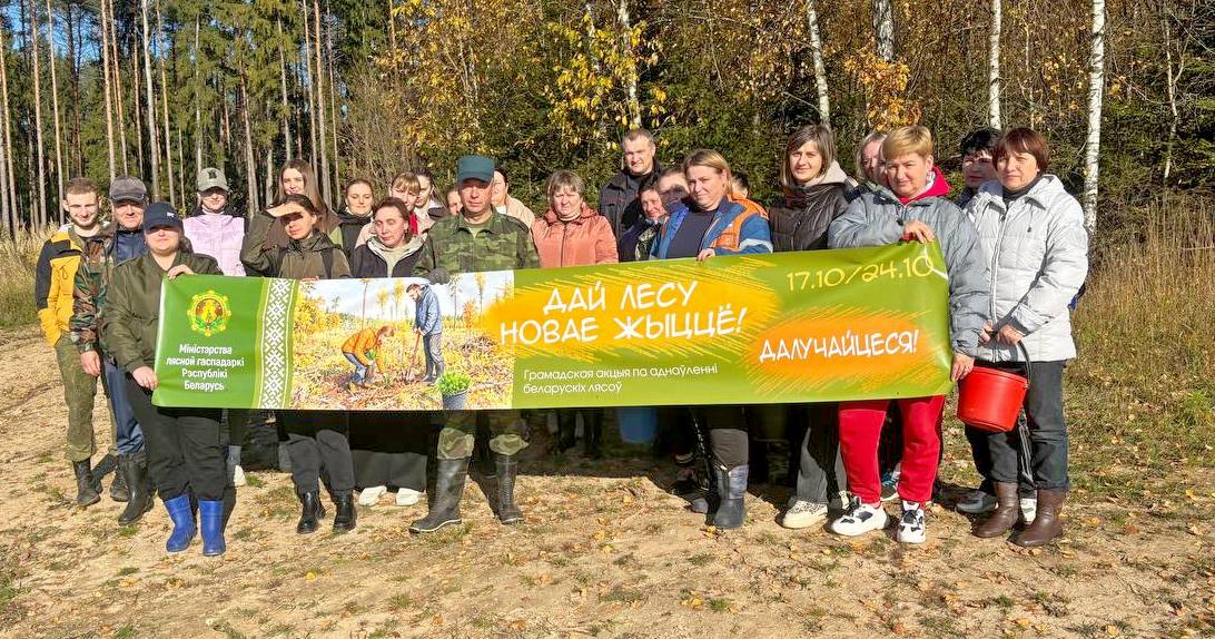 Шкловчане активно принимают участие в акции «Дай лесу новае жыццё!»